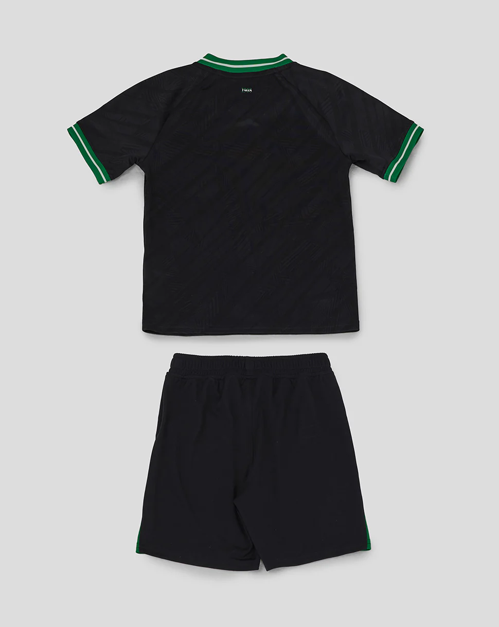 Miniatuur 2